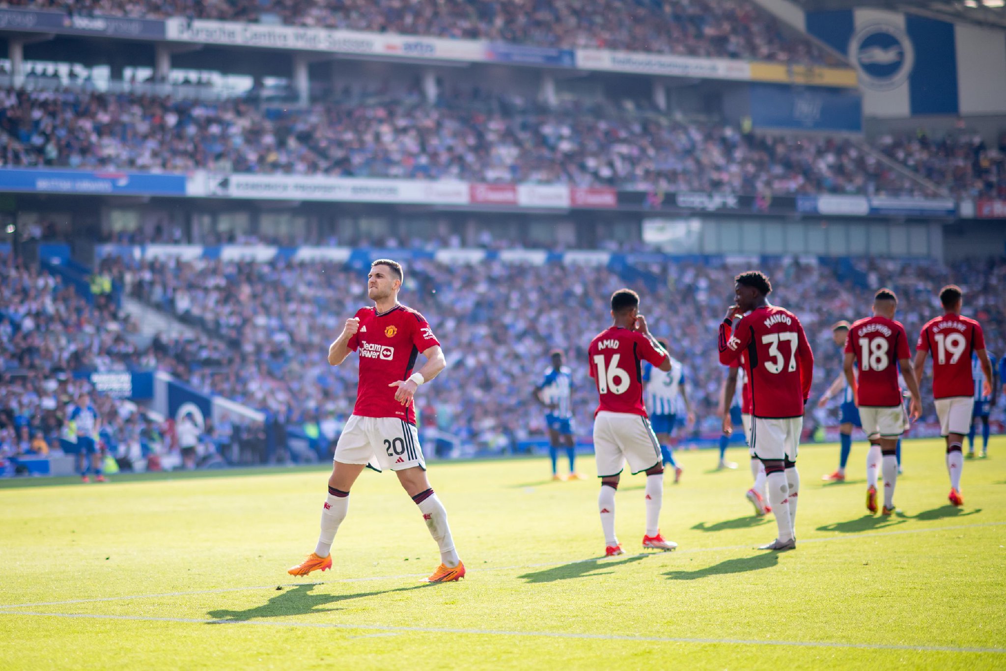 它们不仅是 它们不仅是